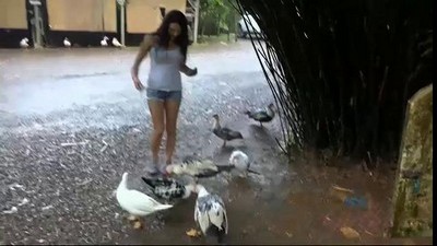 Красивые девушки, Минет,